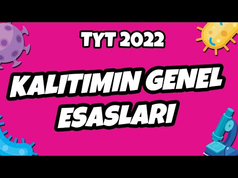 Kalıtımın Genel Esasları | TYT Biyoloji 2022 #hedefekoş