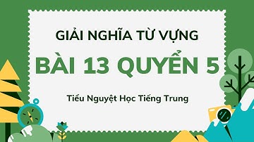 Giải Nghĩa Từ Vựng BÀI 13 QUYỂN 5 Giáo trình Hán Ngữ Tổng Hợp | Tiểu Nguyệt Học Tiếng Trung