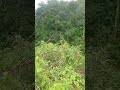 বৃষ্টির মুহূর্ত,,,,💭