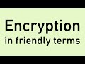 Understanding Encryption Made Simple: Cryptography, AES, & HTTPS 🔐
