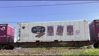 ブルボンルマンドコンテナ搭載EF510-503牽引高速貨物【4K】信越本線下り3093レ