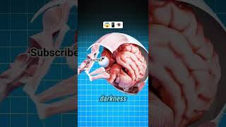 Use Your Eye care on your phone while pressing, To protect your eyes #subscribe #safety #viral