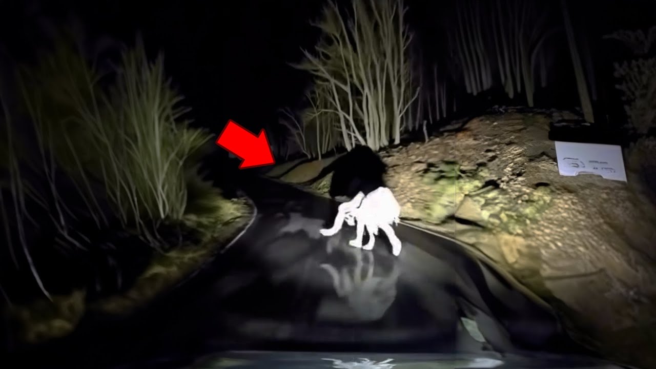 10 GRUSELIGE GEISTERVIDEOS Die Echt Angst Machen IV