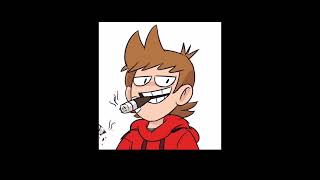 Tord Literally Says Whatever
