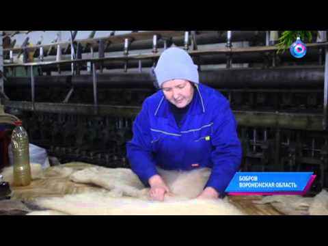 Малые города России: Бобров - родина первого олимпийского чемпиона Николая Панина