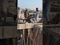Concrete Mixer Machine & Pump | Heavy Labor Work | Malik Arif Construction