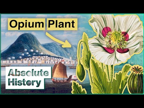 How The Opium Wars Changed Hong Kong Forever | Curious Traveler | Absolute History