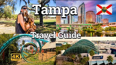 Tampa 2022 - Travel Guide - Busch Gardens, Zoo, Aq...