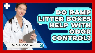 Do Ramp Litter Boxes Help With Odor Control? - PetGuide360.com
