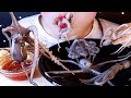 ASMR  RAW OCTOPUS Chaos party 🌝 세발낙지 대환장파티 리얼사운드 먹방 Mukbang Eating show