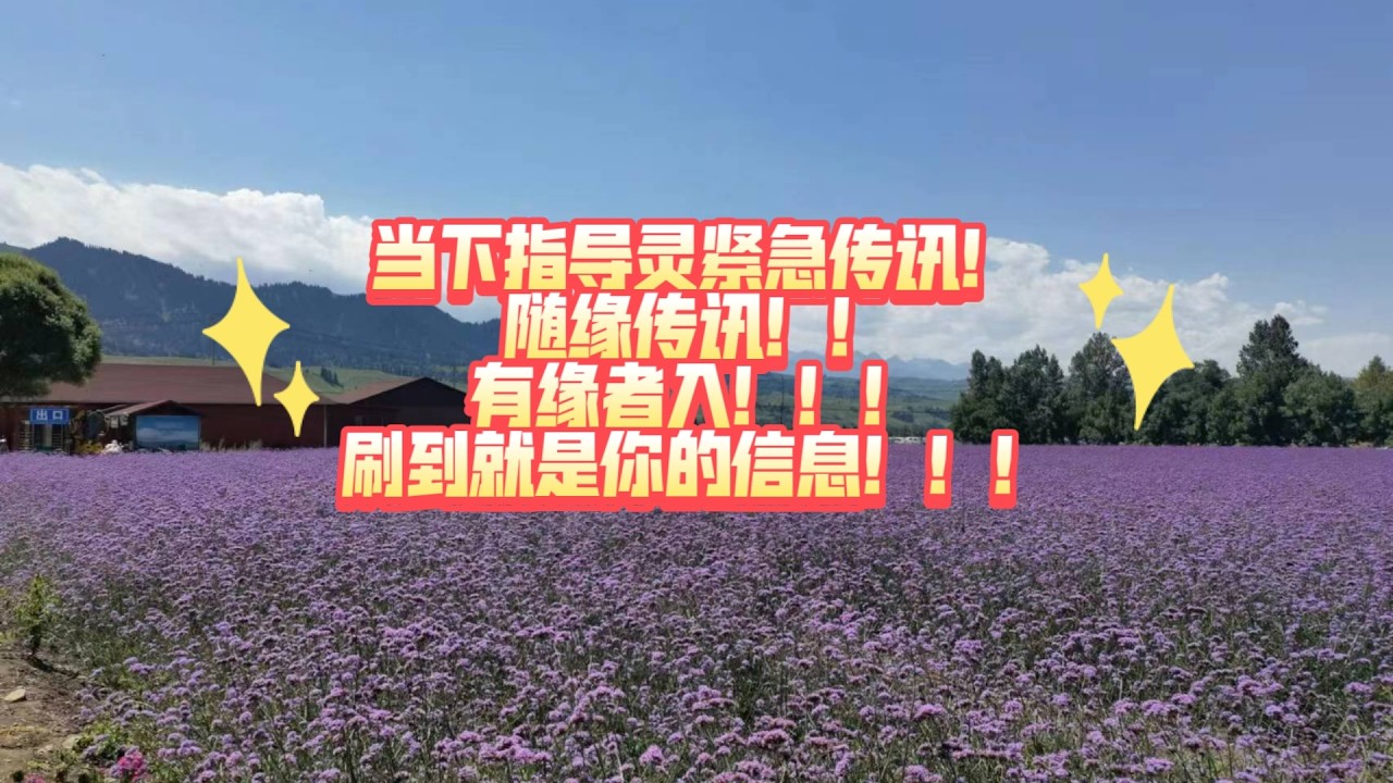 当下指导灵紧急传讯！随缘传讯！！刷到就是你的信息！！！(不限时空 将军赶路不追野兔 祝宝贝们一切顺利！)