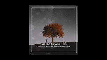 سورة التحريم. القارئ: ماهر المعيقلي. ايه ٨