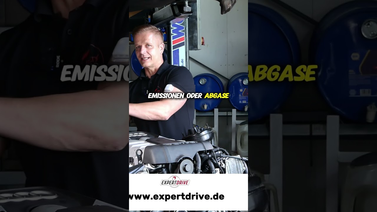 🤯 Motorenbauer klärt auf: Warum die Norm Euro 6 moderne Motoren zugrunde richtet! 💥 | REDHEAD