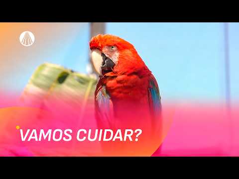 Cuidar dos animais é cuidar da vida! | Bênção da Manhã