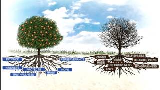 Download Lagu Is Love a feeling or a choice?  (short version) MP3