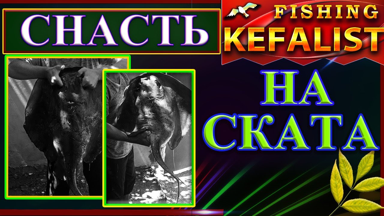 СНАСТЬ НА СКАТА - ПРОСТАЯ И ЭФЕКТИВНАЯ «Рыбалка на ската 🎣 Трофейный хвостокол Чёрного моря