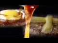 びっくりドンキーTV-CM「ハンバーグソース篇」