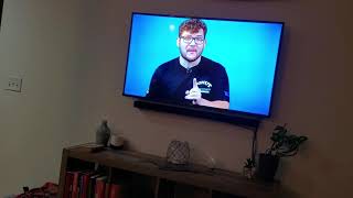 Cute Tabby Cat Watches Car Show