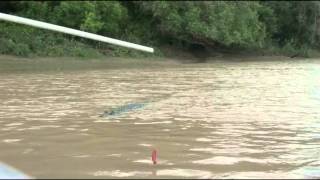 Jumping Crocs, Adelaide River