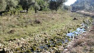 Junto a Poço - Condeixa-a-Nova