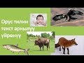 Кто больше всех? | Орус тилин текст аркылууу үйрөнүү