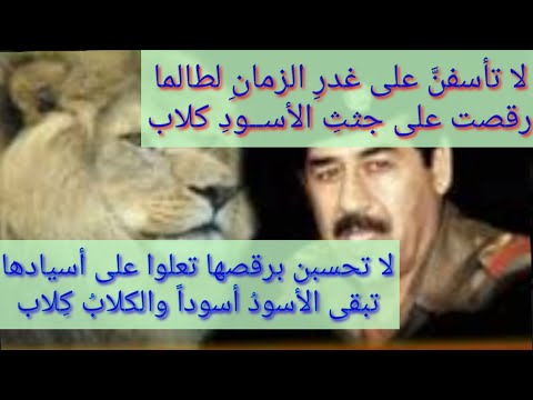 قصيدة صدام حسين لا تاسفن على غدر الزمان لطالما رقصت على جثث الاسود كلاب 