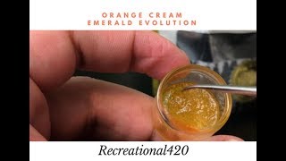 Recreational Cannabis Review of Orange Cream Terp Sugar By Emerald Evolution