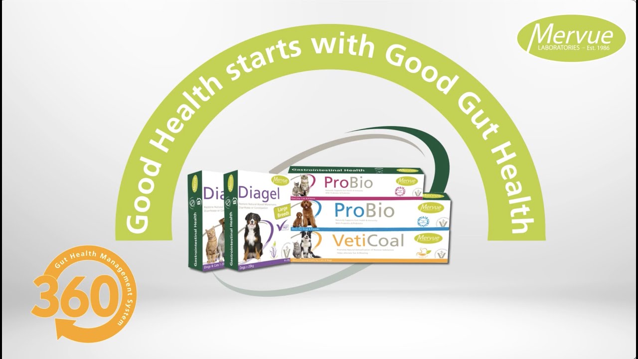 Mervue Laboratories' Gastrointestinal Range for Cats and Dogs