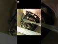 Restoration Ancient Teapot Strange 1780s