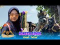 KANGGO SENOK VOC. TALITA - GRAND OPENING NEW SAKILAH MUSIC LEMAHAYU KERTASMAYA INDRAMAYU 