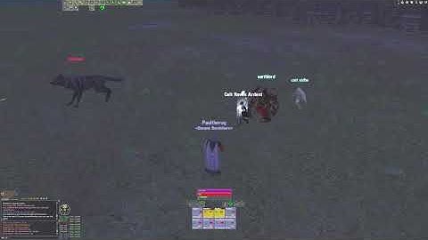 Aint Talkin Bout Dubs [armsman pov]