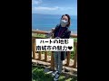 なんじーのとぼけたお顔が好きです😌笑#Shorts