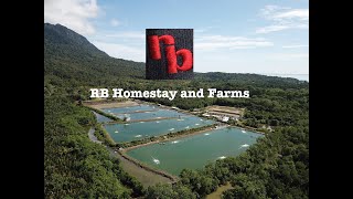 RB Homestay