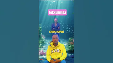 Kuubaa Hayilee Tokkummaa New Oromoo Music 2025 
