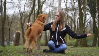 Kama the (un)usual toller | 5 years | TRICKS | Full [HD] 1080p