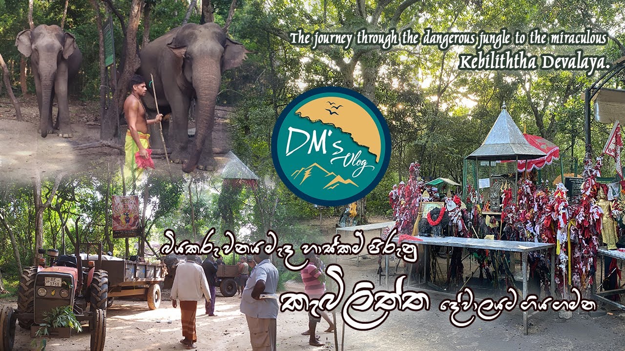 කොටියාගල කුමණ - යාල  ප්‍රදේශයෙන්  කැබිලිත්ත දේවාලය | KEBILITHTHA DEVALAYA 🙏🐘🚜