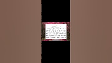 سورة القلم