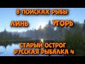 Линь и угорь на старом остроге. Нежданный амур. Рыбачим с прикормкой на угря. Русская рыбалка 4.