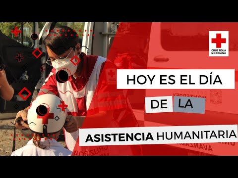 Video: Quién Brindó Asistencia Humanitaria A La Ciudad De Krymsk