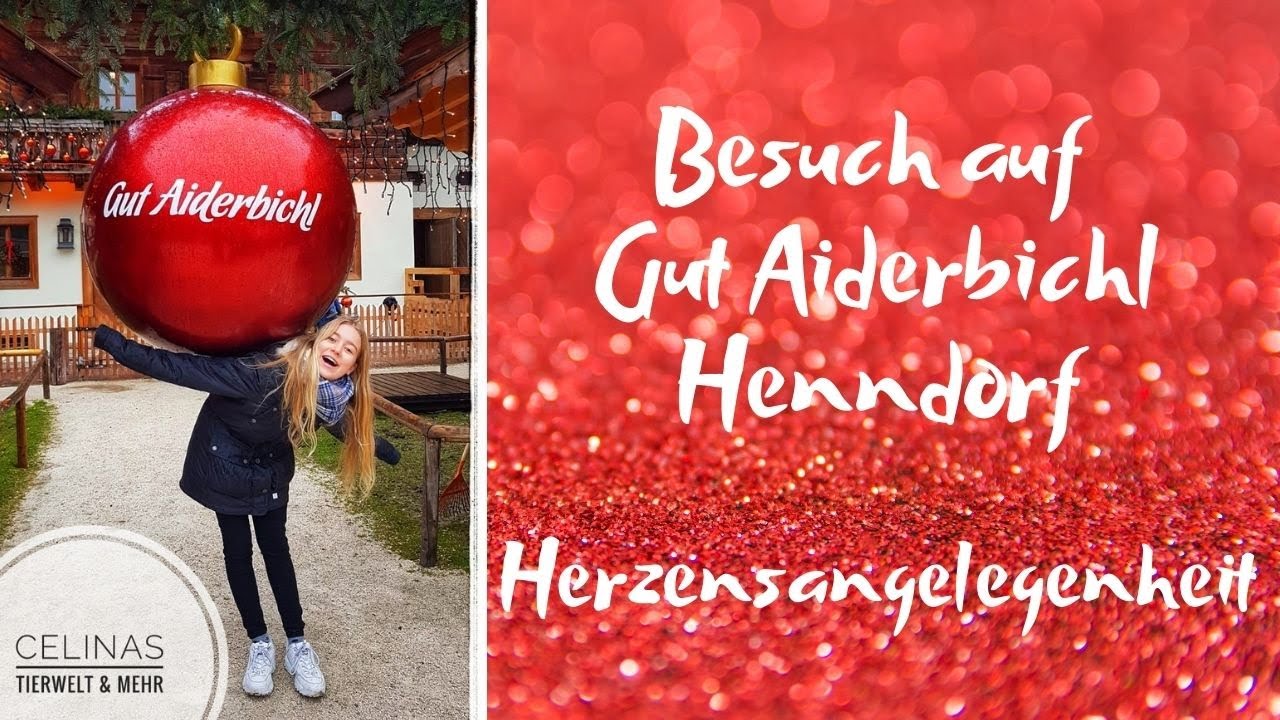 Weihnachten auf Gut Aiderbichl Henndorf - Herzensangelegenheit ♥️