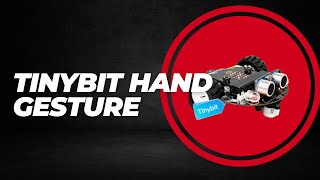 tinybit hand gesture