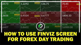 how to use finviz for day trading forex : Best Screener For Forex & Crypto Trader