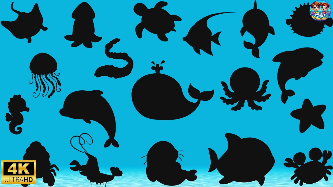 Guess the Sea Animal Shadow! | Fun Ocean Quiz for Kids| Can You Guess ...