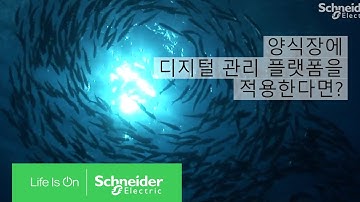 EcoStruxure Machine Advisor 디지털 장비 관리 솔루션 적용 사례, Blue Ocean Technology | 슈나이더 일렉트릭 코리아