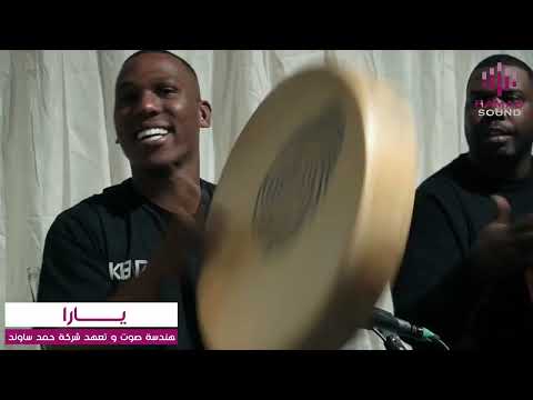 يارا نورت يا حلاها 2025 