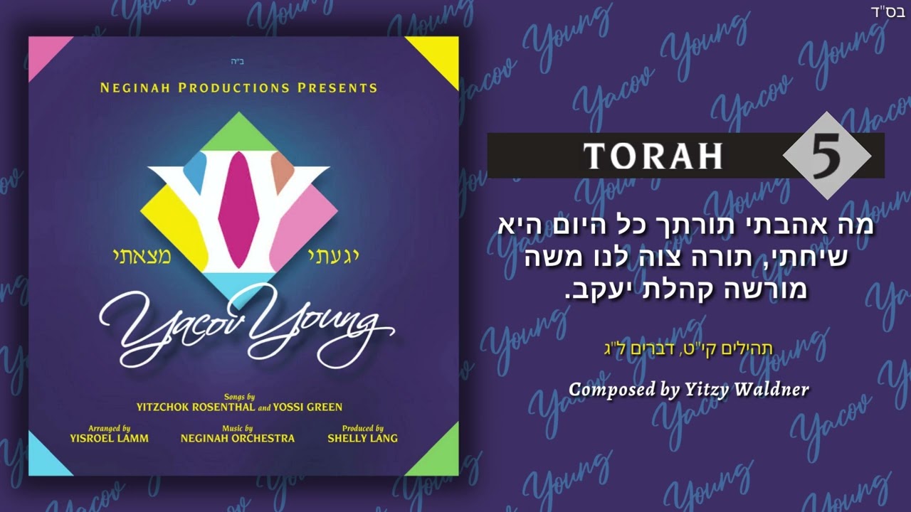 Torah - תורה