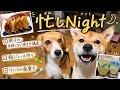 ナッツ家の忙しい夜🌕🐾