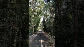 shortvideo shortvideo