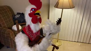 Download Lagu Splash Mountain Animatronic - Zip-a-Dee-Doo-Dah MP3