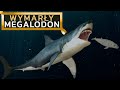 MEGALODON - rekin gigant, mioceński postrach oceanów!